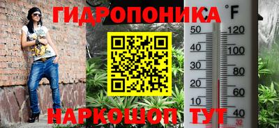 винт Донецк