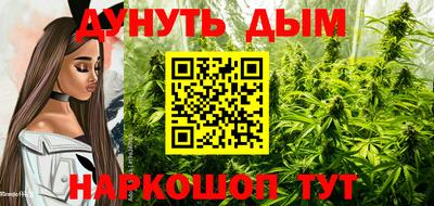 винт Донецк