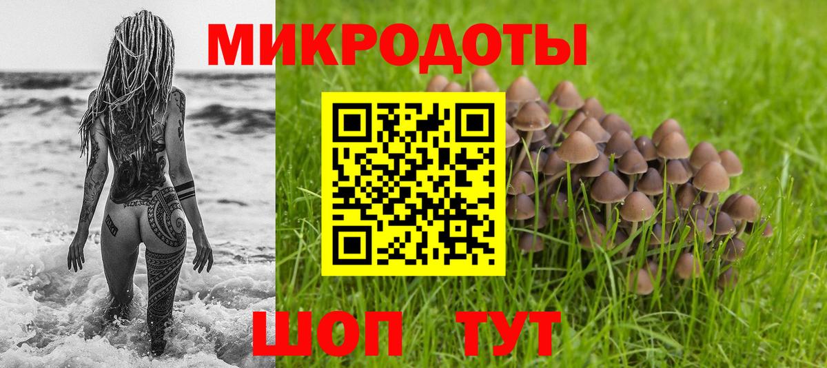Гулькевичи  Псилоцибиновые грибы мицелий  Вход с VPN 